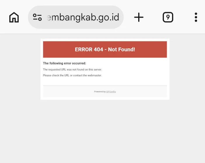 Misteri Hilangnya Tautan Logo Hari Jadi Rembang ke-285, Publik Pertanyakan Perubahan Mendadak