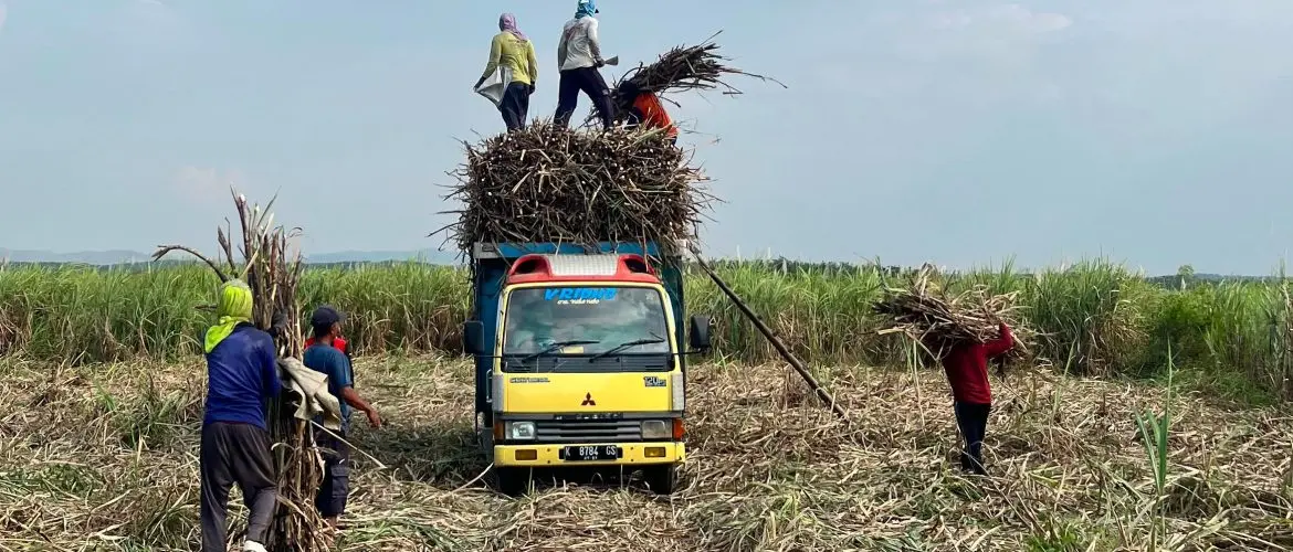 Dukung Petani Tebu, Dintanpan Rembang Usulkan Tambahan Bantuan Traktor Roda Empat