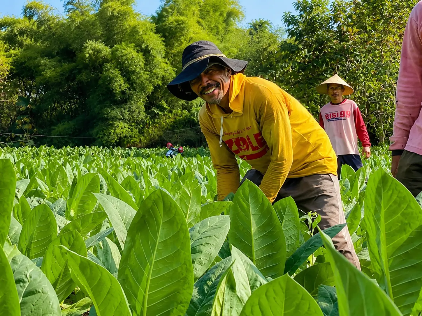 Atasi Lonjakan Harga Pupuk, Pemkab Rembang Kucurkan Rp2,3 Miliar Dana DBHCHT untuk Petani Tembakau