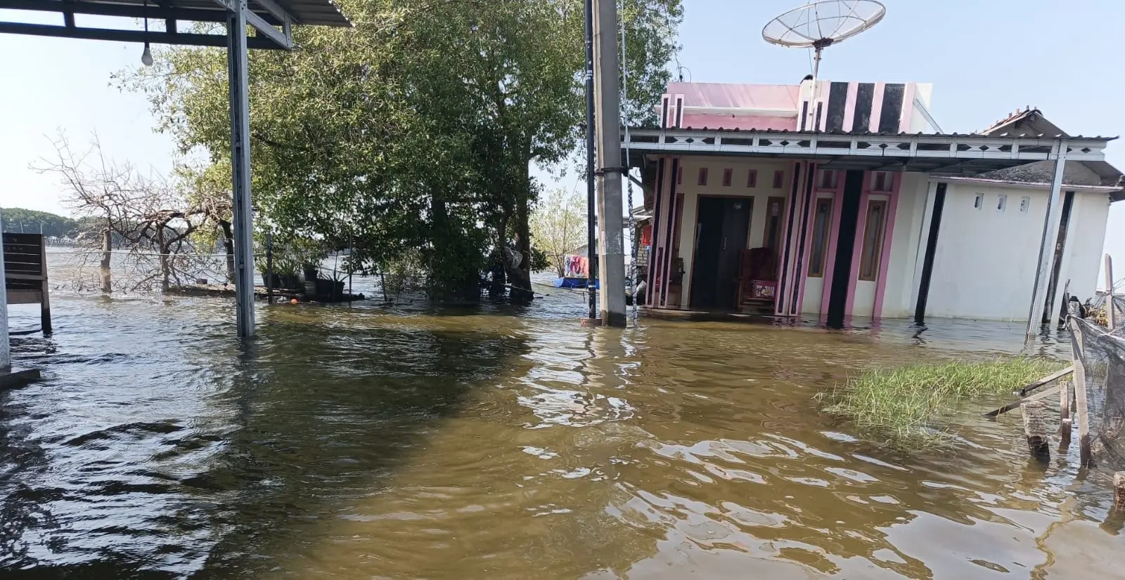 Proyek Tanggul Lamban, Desa Tunggulsari Pati Terancam Tenggelam Terjang Rob