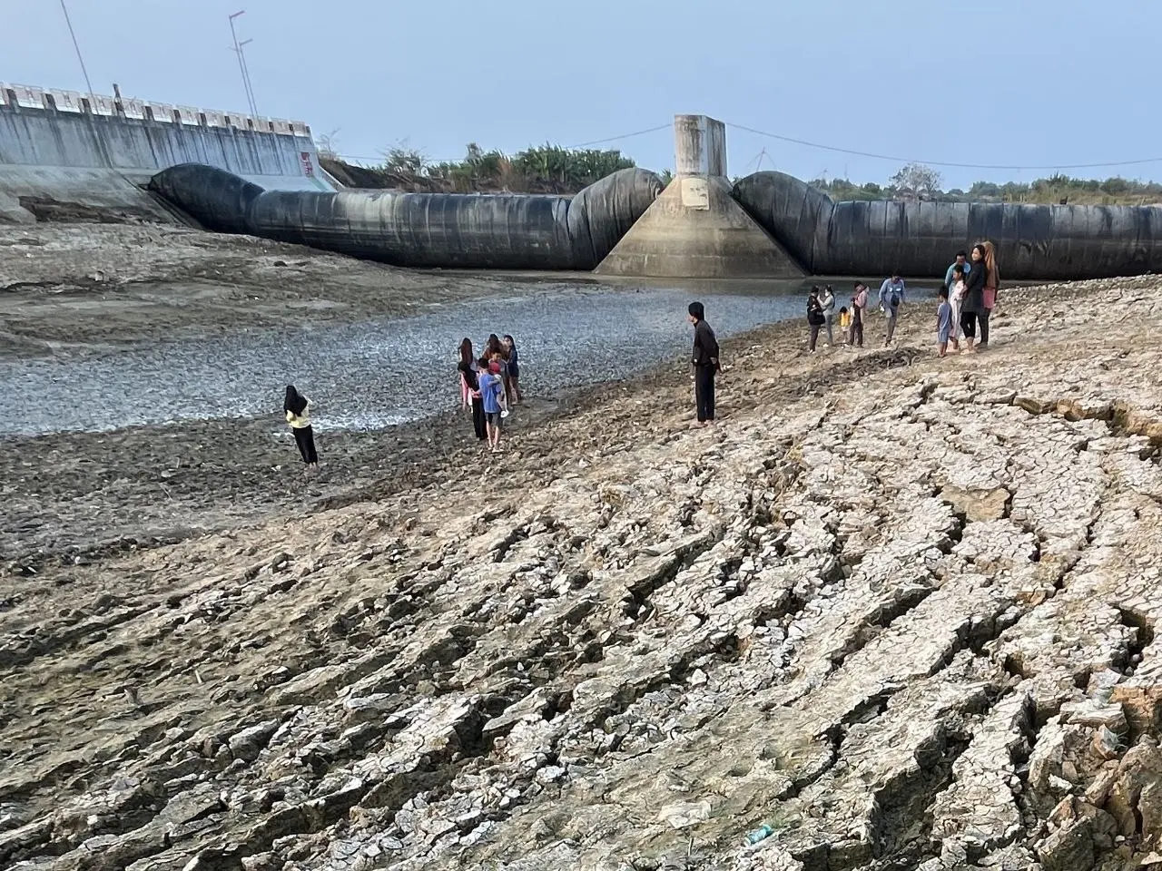 Ancaman Ikan Sapu-sapu di Bendungan Karet Intai Ekosistem