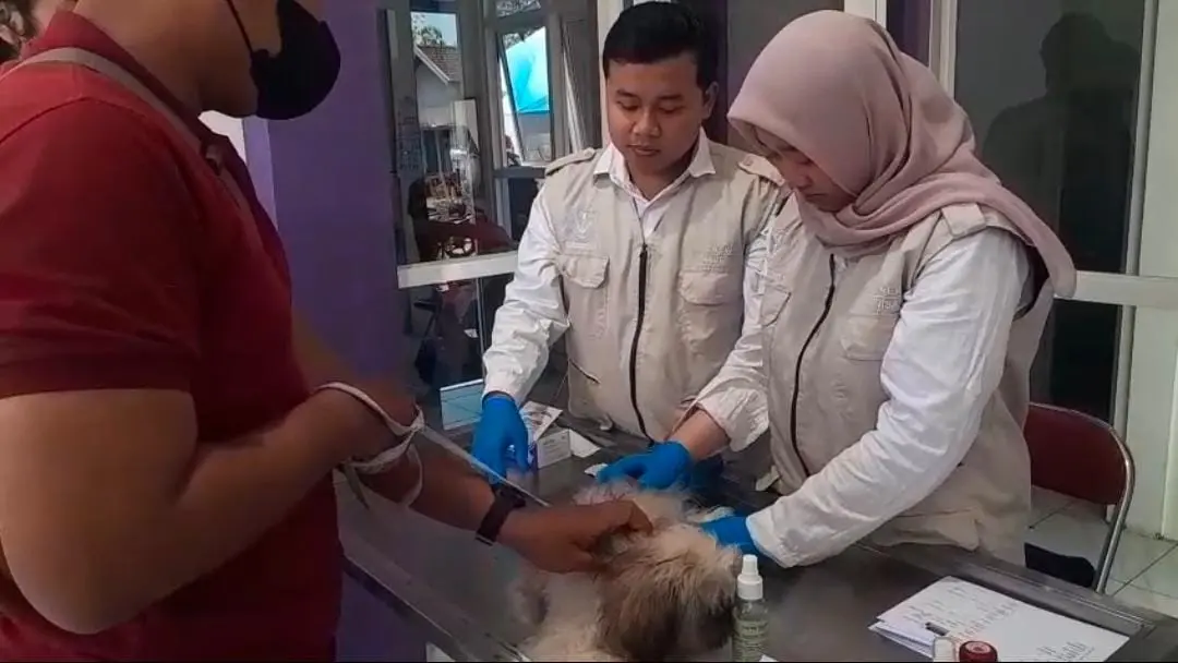 Hewan-hewan Piaraan Divaksin Rabies Gratis di Puskeswan Pati